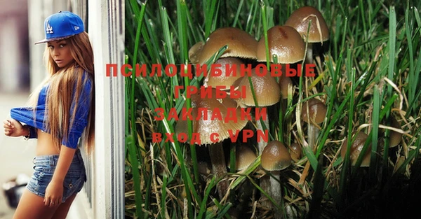 PSILOCYBIN Дмитров