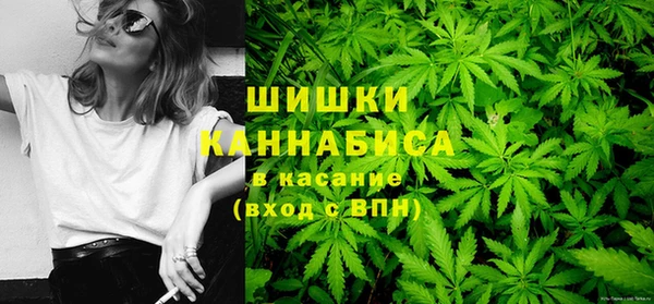 PSILOCYBIN Дмитров