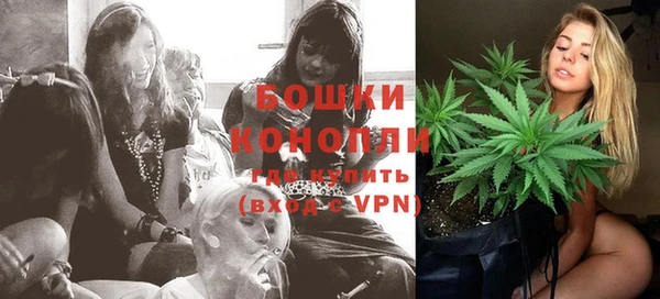 PSILOCYBIN Дмитров