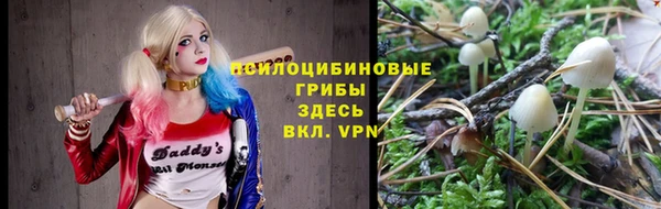 PSILOCYBIN Дмитров